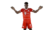 Happy Come On Sticker by FC Bayern Munich