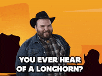 Longhorn Flirt GIF by Howdy Price