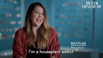 I'm A House Plant Addict