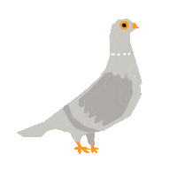Dance Bird Sticker by Redmatters