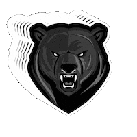 Black Bears Sticker by Binghamton Black Bears