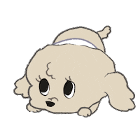 Dog Fun Sticker
