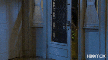 Late Night Lol GIF by HBO Max