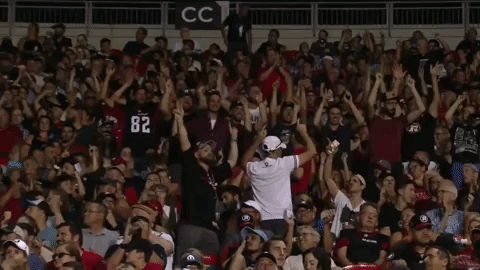 td place football GIF by Ottawa REDBLACKS