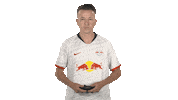 Ea Sports Fifa Sticker by Bundesliga