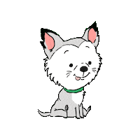 Chihuahua Teddy Sticker by Harley's Dream