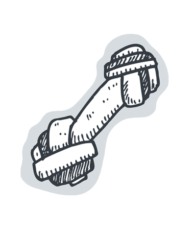 dotsure giphyupload bone dog toy dotsure Sticker