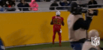 Tennessee Titans Football GIF by NFL