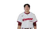 Kbo Sticker by Kiwoom Heroes Baseball Club