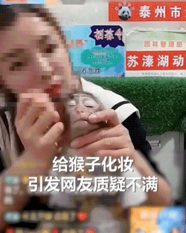 cuteanimalland giphyupload GIF