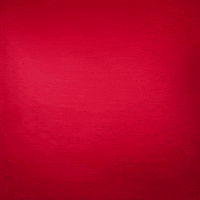 Texas Tech GIF by Texas Tech Baseball