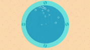 under the sea hello GIF by Molang