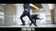 Martial Arts Fight GIF by Indiecan Entertainment Inc.