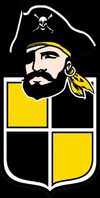 Aurinegro Ahp GIF by coquimbounido