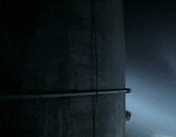 Adrian Young GIF by No Doubt