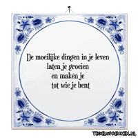 Humor Wijsheid Sticker by Tegelspreuken.nl