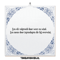 Humor Wijsheid Sticker by Tegelspreuken.nl