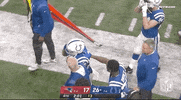 Indianapolis Colts Football GIF by NFL