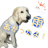 After The Rain Dog Sticker
