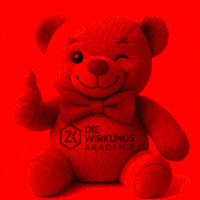 Teddy Zk GIF by Die Wirkungskademie