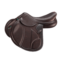 selleriaequipe equipesaddles selleriaequipe ecarbon selleriaequipesaddles Sticker