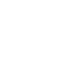 Butterfly Sketch Sticker by Lila Drew