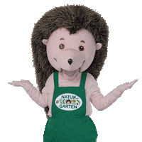 No Clue Hedgehog Sticker by naturimgarten