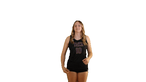 Volleyball Sticker by Tennessee Tech Athletics