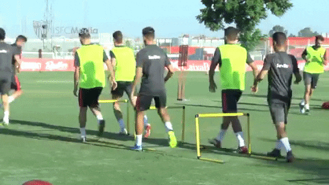 la liga soccer GIF by Sevilla Fútbol Club