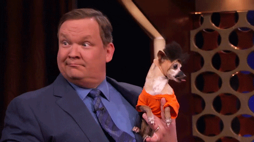 andy richter puppies GIF by Team Coco