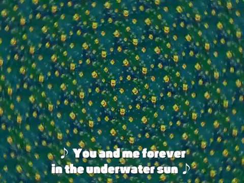 season 3 GIF by SpongeBob SquarePants