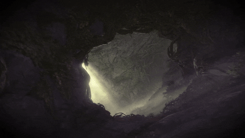 Fuzz_Racc giphyupload prime void warframe GIF