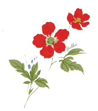 Flower Rose Sticker by YOLKE