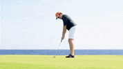 destinationgoodstuff travel golf caribbean curacao GIF