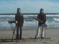 Lemon Twigs GIF by tylaum