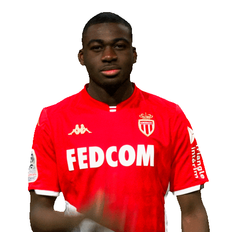 Ligue 1 Football Sticker by AS Monaco
