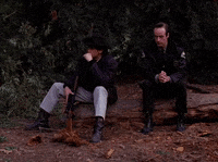 Season 2 Episode 22 GIF by Twin Peaks on Showtime