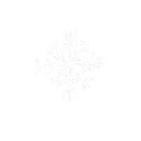 Winter Snowflake Sticker by Mrsemilyshore