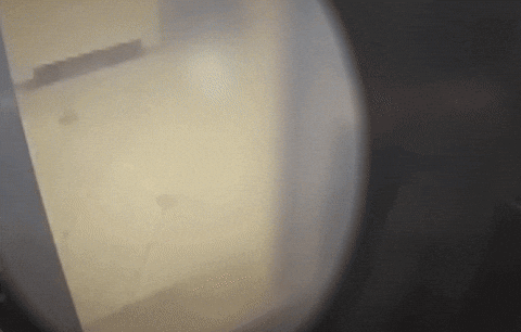 U-uuu giphyupload GIF