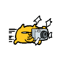 Cat Photo Sticker