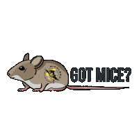Tom And Jerry Mouse Sticker by Richland Pest & Bee Control