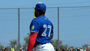Blue Jays Mlb GIF by Toronto Blue Jays