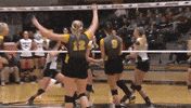mkepanthers GIF by Kayla Schaffer