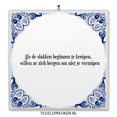 Nl Hoop GIF by Tegelspreuken.nl