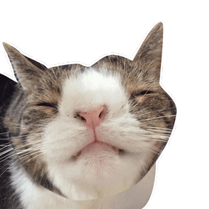 cool cat smiling Sticker