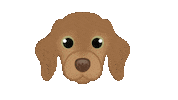 Sausage Dog Sticker by zoopeez