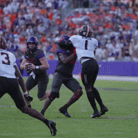 Juke Go Frogs GIF by TCU Football