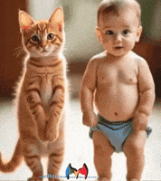 Radio Feliz GIF by Murcianys LLC