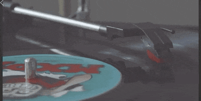 mxpx band spin spinning punk GIF