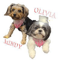 Mindy Dog Sticker